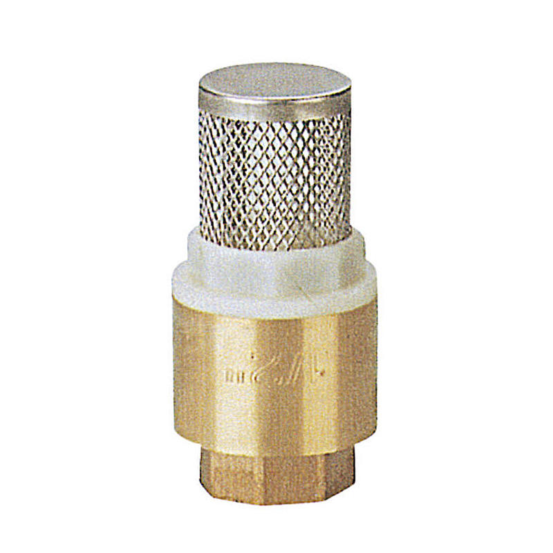 латунный обратный клапан вертикальный нержавеющий фильтр для водяного насоса P6160-P6165